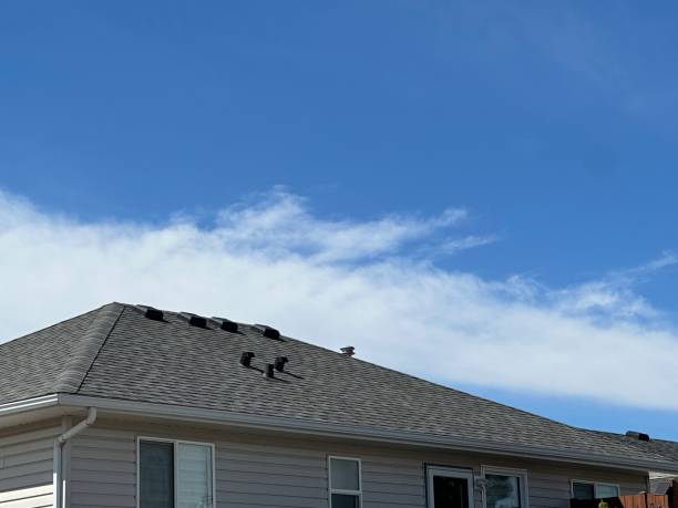 Best Roof Waterproofing  in Newton, AL